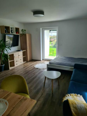 Rooms and apartments Vili